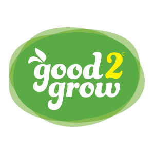 G2g Logo