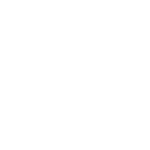 Treo Logo
