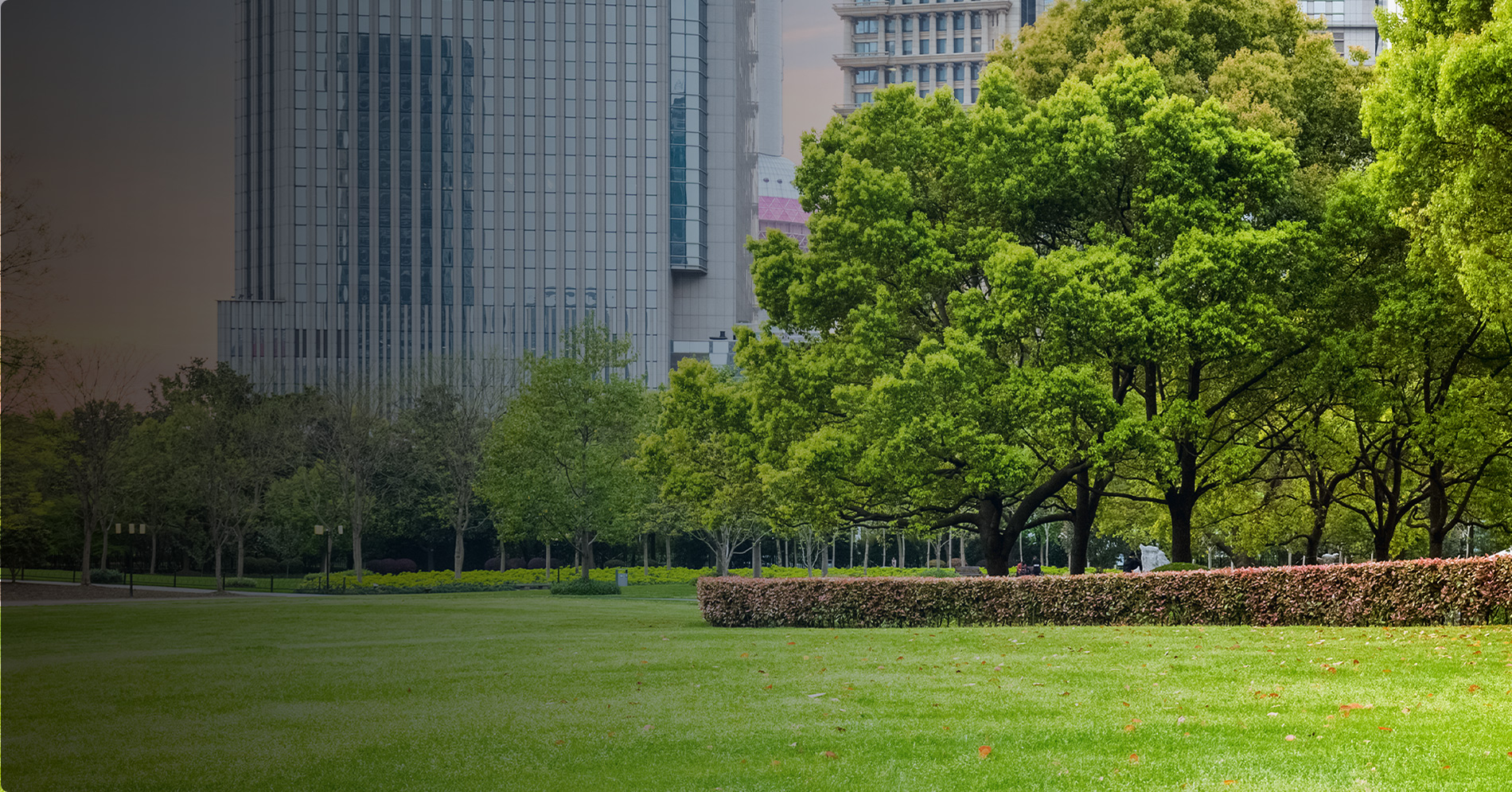 City-park
